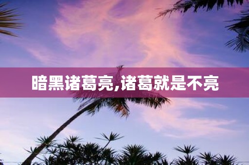 暗黑诸葛亮,诸葛就是不亮