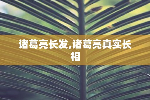 诸葛亮长发,诸葛亮真实长相