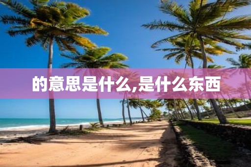 的意思是什么,是什么东西