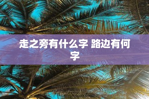 走之旁有什么字 路边有何字