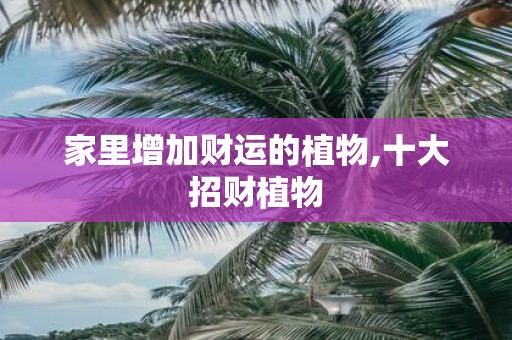 家里增加财运的植物,十大招财植物