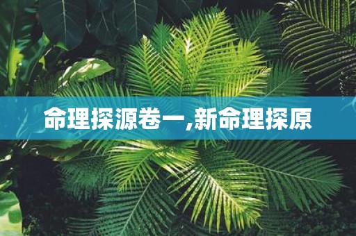 命理探源卷一,新命理探原