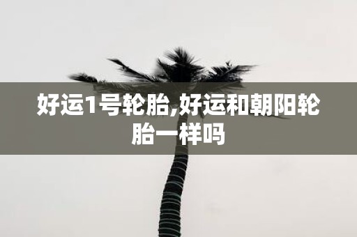 好运1号轮胎,好运和朝阳轮胎一样吗