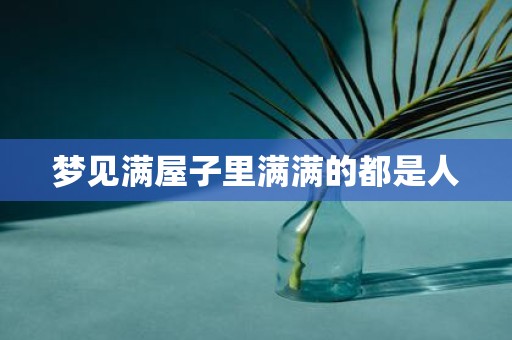 梦见满屋子里满满的都是人