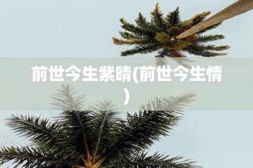 前世今生紫晴(前世今生情)