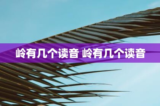 岭有几个读音 岭有几个读音
