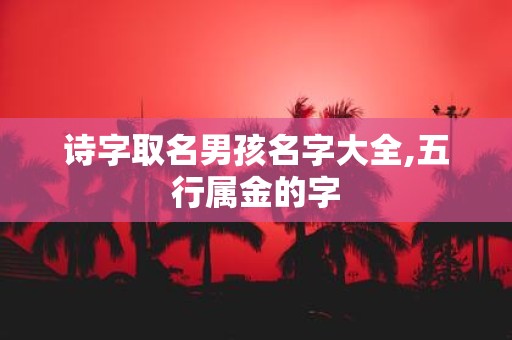 诗字取名男孩名字大全,五行属金的字