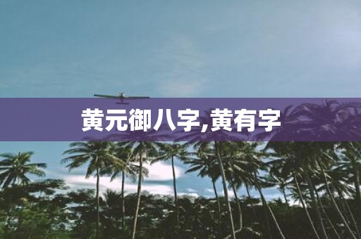黄元御八字,黄有字