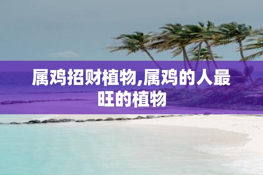 属鸡招财植物,属鸡的人最旺的植物