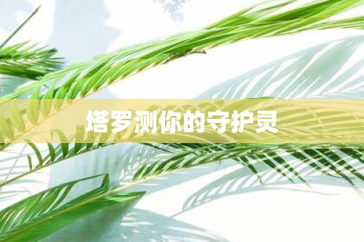 塔罗测你的守护灵