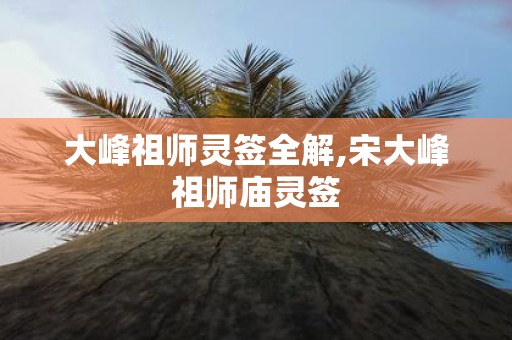大峰祖师灵签全解,宋大峰祖师庙灵签