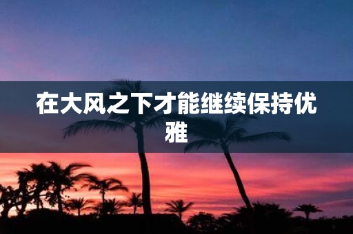 在大风之下才能继续保持优雅 在大风之下才能继续保持优雅