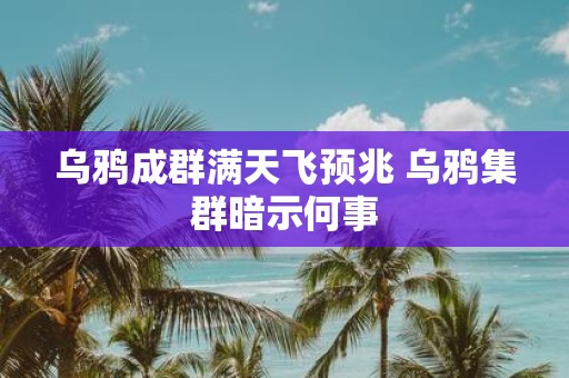 乌鸦成群满天飞预兆 乌鸦集群暗示何事
