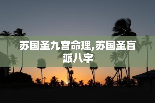 苏国圣九宫命理,苏国圣盲派八字