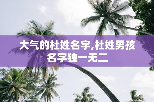 大气的杜姓名字,杜姓男孩名字独一无二