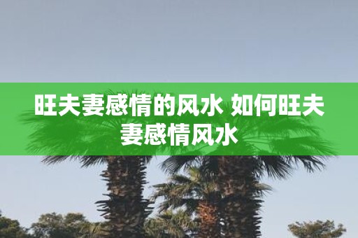 旺夫妻感情的风水 如何旺夫妻感情风水
