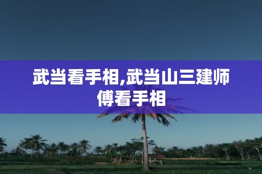 武当看手相,武当山三建师傅看手相