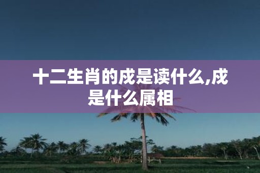 十二生肖的戍是读什么,戍是什么属相