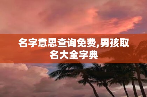 名字意思查询免费,男孩取名大全字典