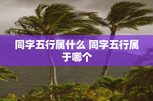 同字五行属什么 同字五行属于哪个