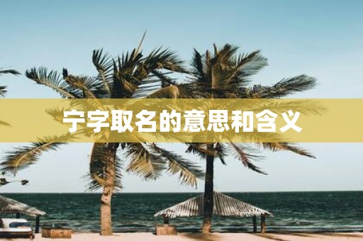 宁字取名的意思和含义