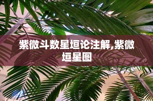 紫微斗数星垣论注解,紫微垣星图