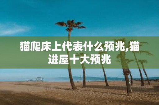 猫爬床上代表什么预兆,猫进屋十大预兆