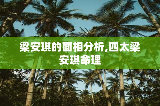 梁安琪的面相分析,四太梁安琪命理