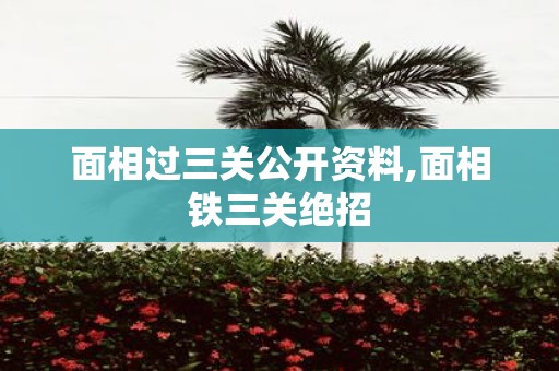 面相过三关公开资料,面相铁三关绝招