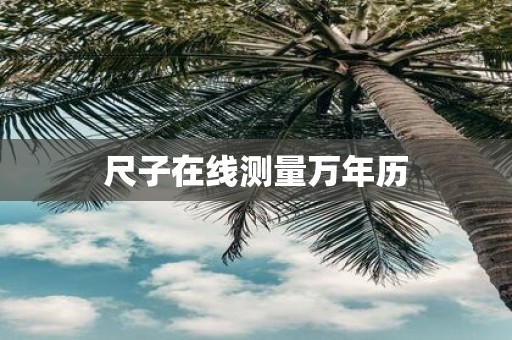 尺子在线测量万年历