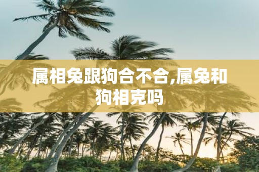 属相兔跟狗合不合,属兔和狗相克吗