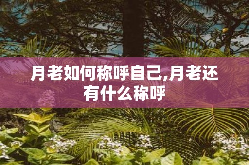月老如何称呼自己,月老还有什么称呼