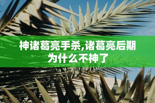 神诸葛亮手杀,诸葛亮后期为什么不神了