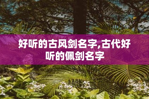好听的古风剑名字,古代好听的佩剑名字