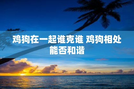 鸡狗在一起谁克谁 鸡狗相处能否和谐