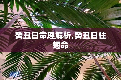 癸丑日命理解析,癸丑日柱短命