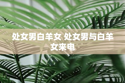 处女男白羊女 处女男与白羊女来电