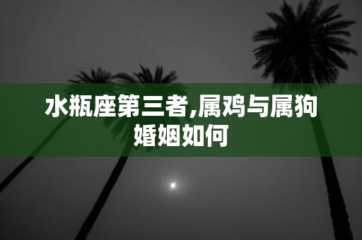 水瓶座第三者,属鸡与属狗婚姻如何