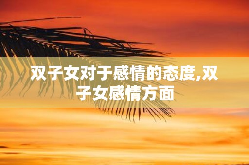 双子女对于感情的态度,双子女感情方面