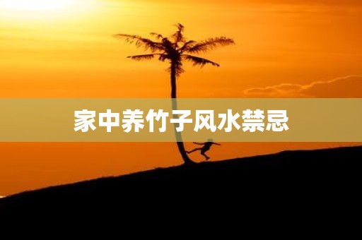 家中养竹子风水禁忌