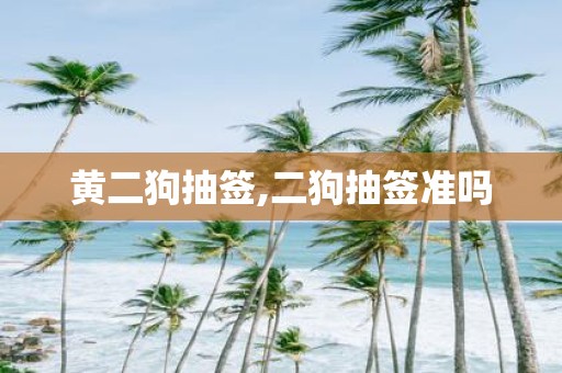 黄二狗抽签,二狗抽签准吗