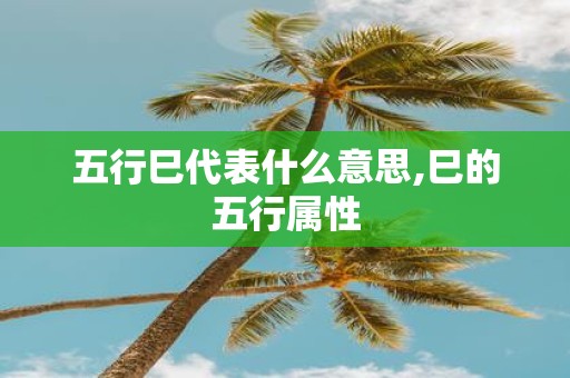 五行巳代表什么意思,巳的五行属性
