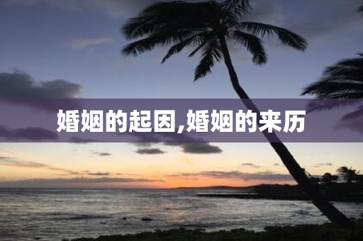 婚姻的起因,婚姻的来历