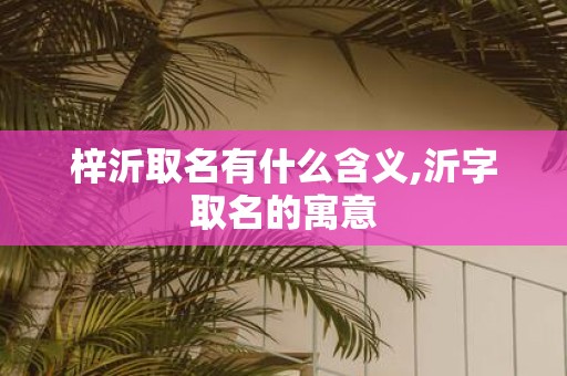 梓沂取名有什么含义,沂字取名的寓意