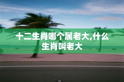十二生肖哪个属老大,什么生肖叫老大