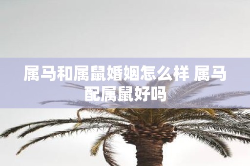 属马和属鼠婚姻怎么样 属马配属鼠好吗