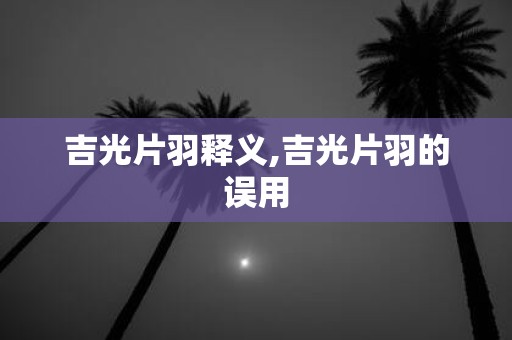 吉光片羽释义,吉光片羽的误用