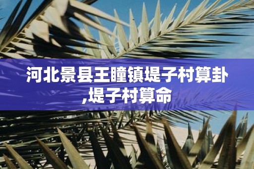 河北景县王瞳镇堤子村算卦,堤子村算命