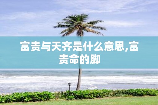 富贵与天齐是什么意思,富贵命的脚