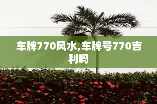 车牌770风水,车牌号770吉利吗